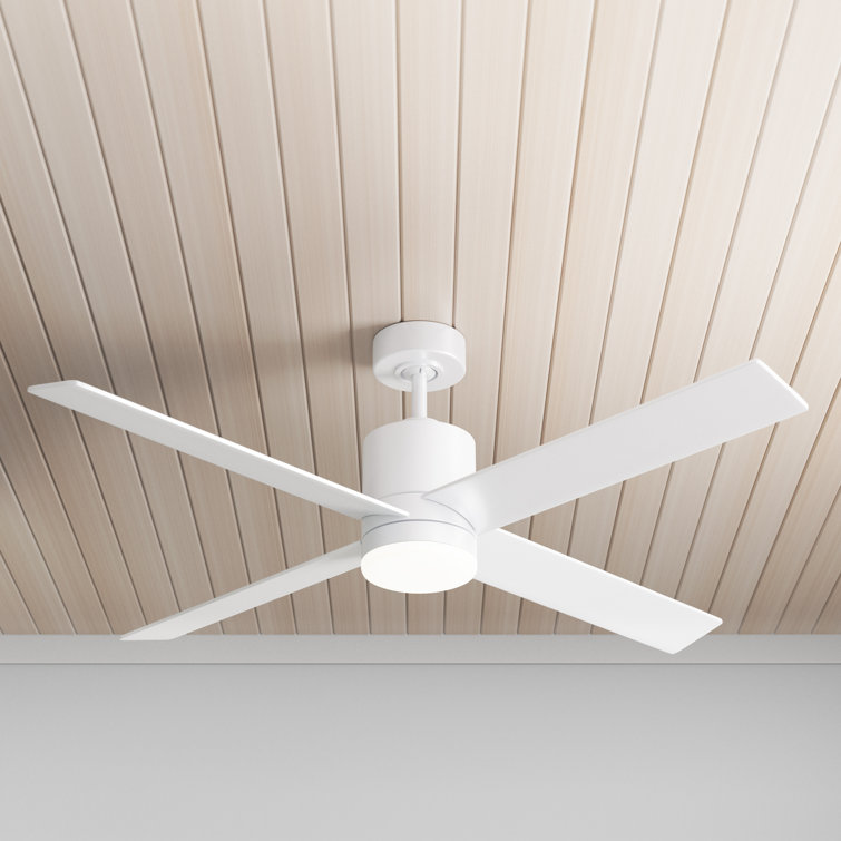 Cairns 52'' Ceiling Fan with LED Lights & Reviews AllModern